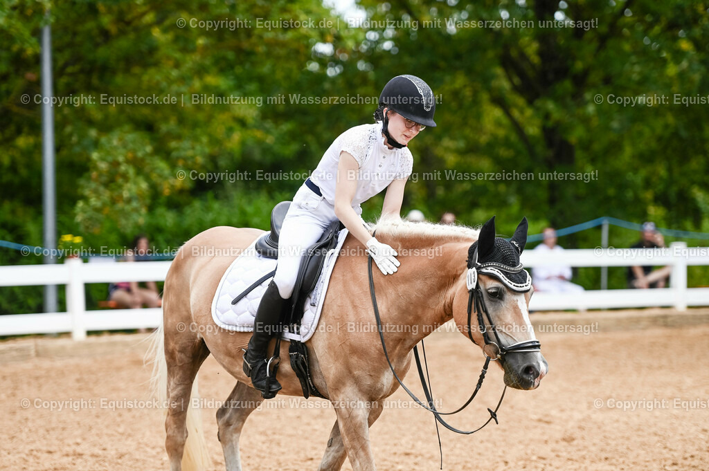 20230715_05_Dressurprüfung Kl.A++_0119 | equistock