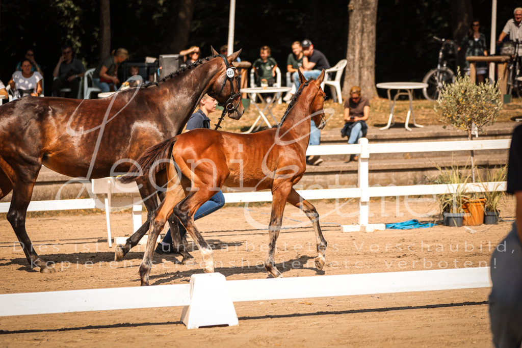 07.DoWBS00070 | Leoni Ertmer Photography - Realisiert mit Pictrs.com