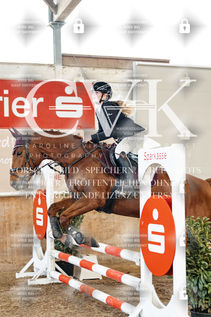CK904723 | Turnierfotografie Pferdefotografie Trier Rheinland-Pfalz Pferdesport Reitsport Tierfotografie Sportfotografie Pferdevideo Pferdevideografie Equestrianvideography equestrianphotography  - Realisiert mit Pictrs.com