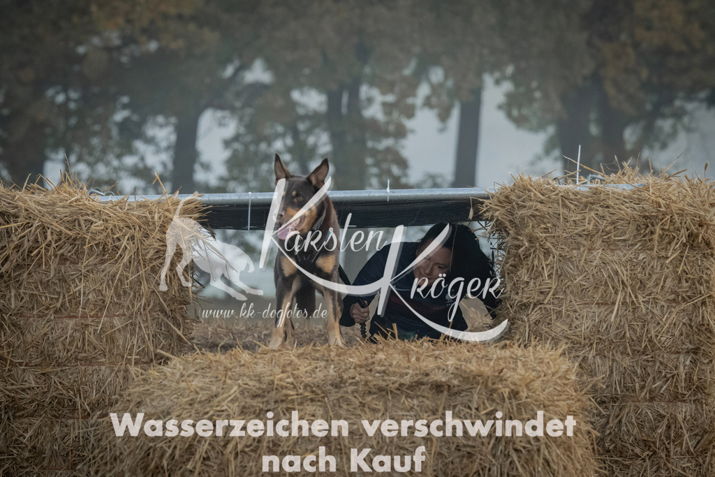 0816_ZZ97594 | kk-dogfotos