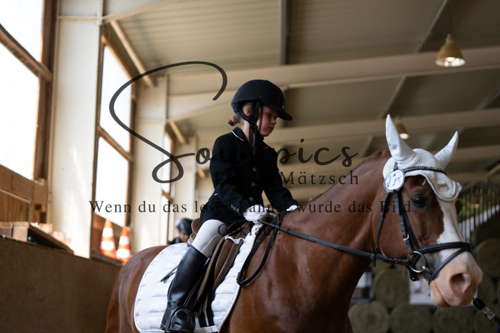 A7V08269 | Pferdefotograf