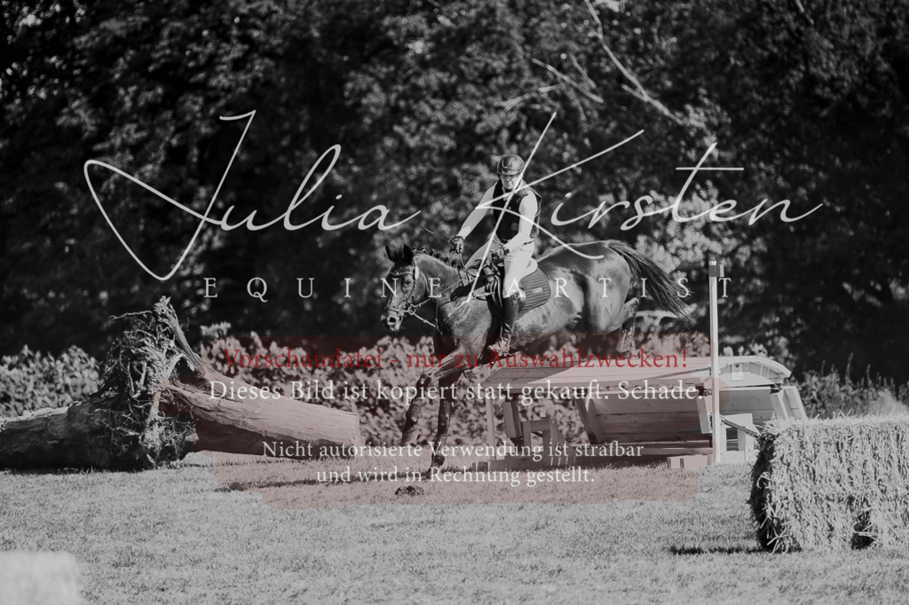 DSC_8480 | Pferde- und Turnierfotografie in Westsachsen. Pferdeportraits, Auftragszeichnungen und intuitive Kunst.