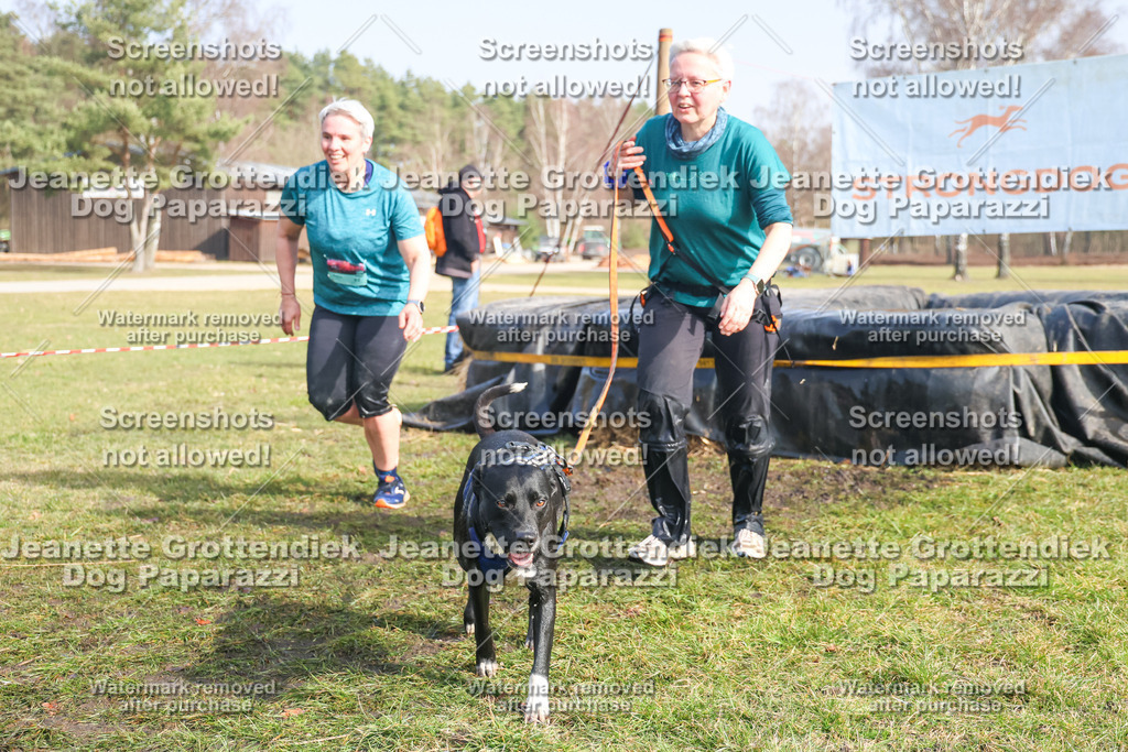 Dog Paparazzi - Strongdog North Mrz26-2227 | Dog Paparazzi Jeanette Grottendiek Fotografie & Videografie - Realisiert mit Pictrs.com