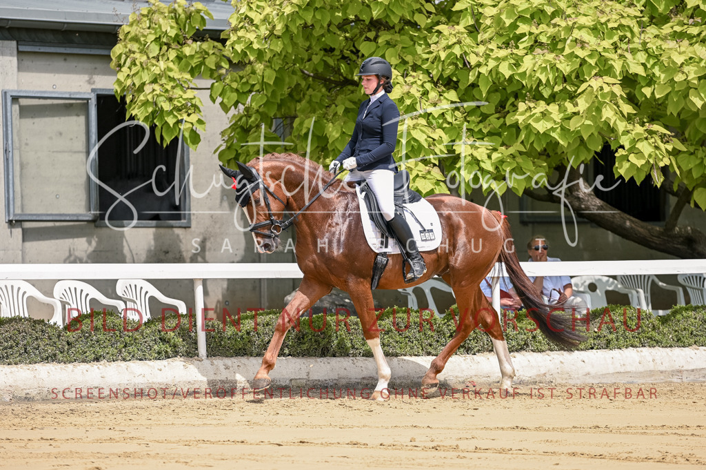 Schugtsche-Aluta25-48.Reitpferfdeprf.-119 | Schugtsche Fotografie - Realisiert mit Pictrs.com