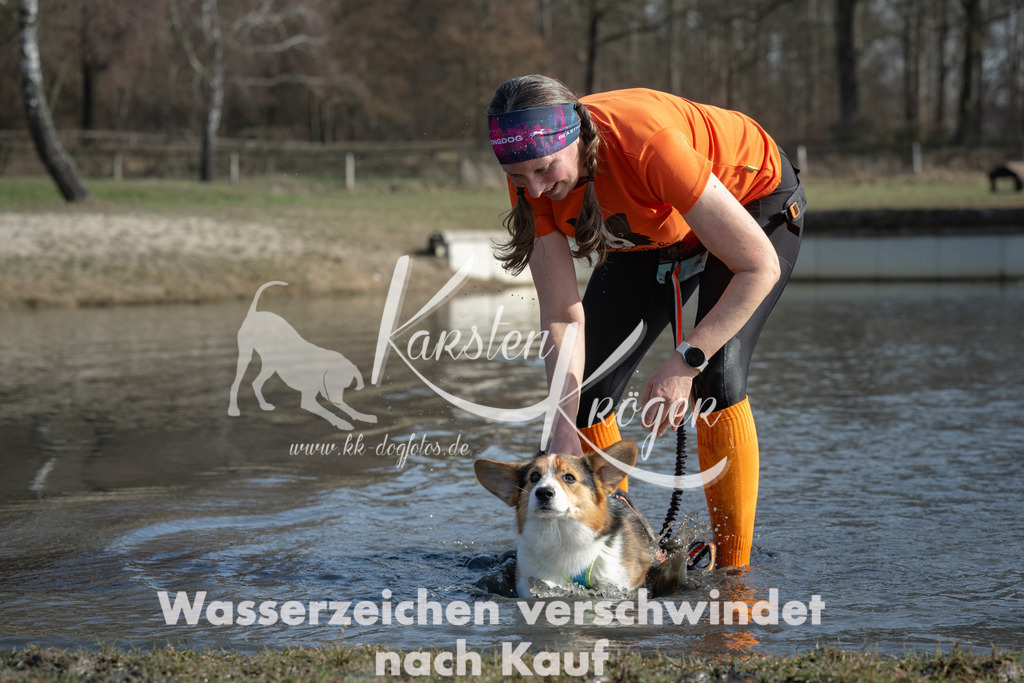 1313_ZZ95302 | kk-dogfotos