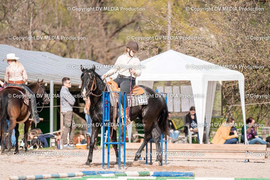 BAL02740 | dv-media-shop - Realisiert mit Pictrs.com