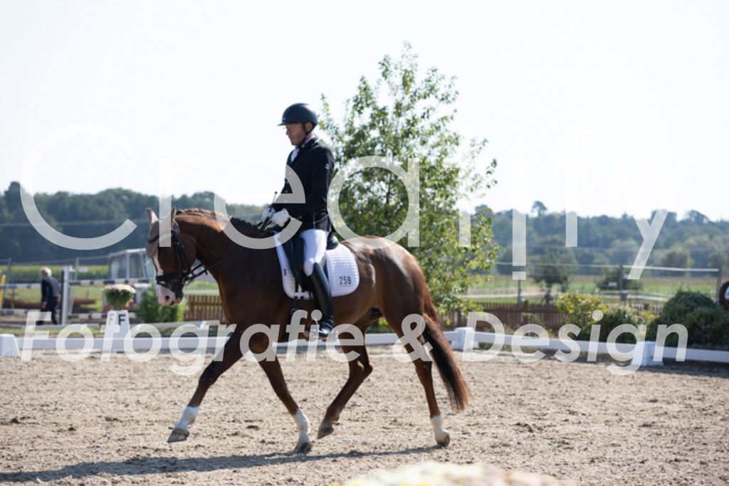 IMG_3391 | Creatify Fotografie