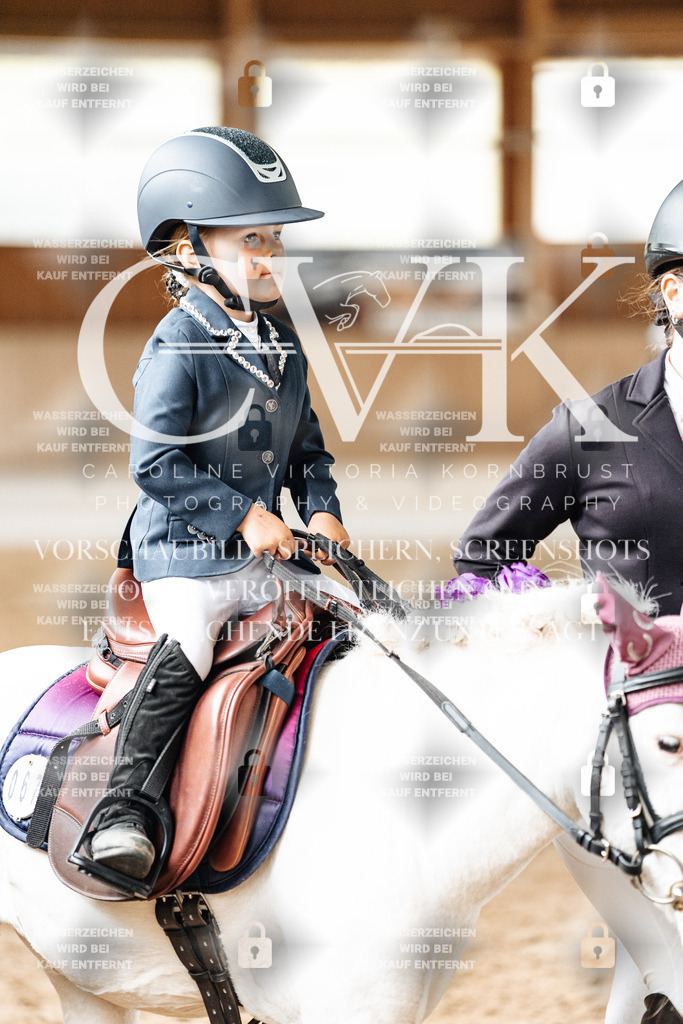 CK902142 | Turnierfotografie Pferdefotografie Trier Rheinland-Pfalz Pferdesport Reitsport Tierfotografie Sportfotografie Pferdevideo Pferdevideografie Equestrianvideography equestrianphotography  - Realized with Pictrs.com