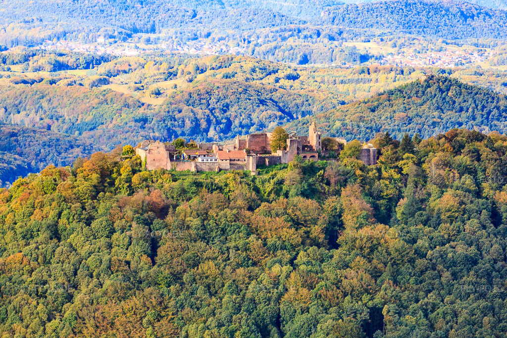 Luftbild: Madenburg von Osten in Eschbach im Bundesland Rheinland-Pfalz in Deutschland. Foto: IMG_22381.jpg vom 15.10.2009 durch Werner Riehm/FLY-FOTO.de