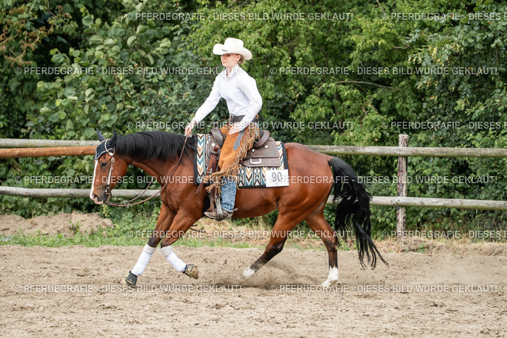 DSC02078 | Pferdegrafie