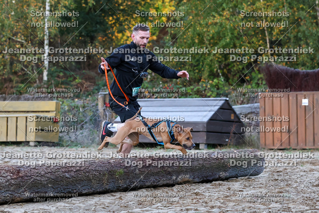 Dog Paparazzi - Strongdog 10-25-94 | Dog Paparazzi Jeanette Grottendiek Fotografie & Videografie - Realisiert mit Pictrs.com