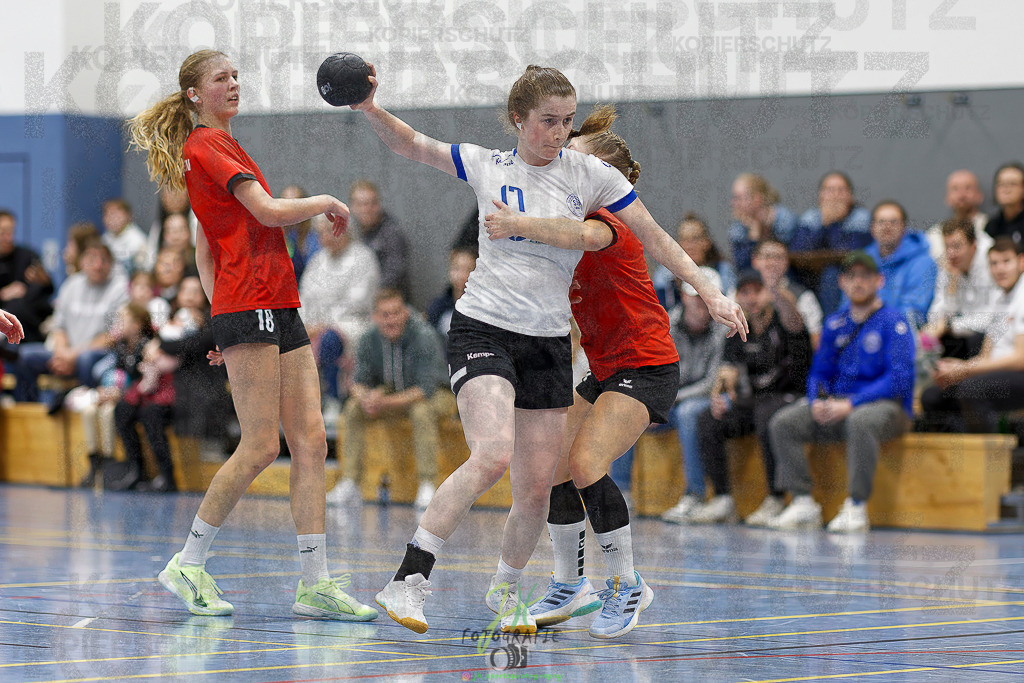 Frauen 2. Bezirksklasse; SG Rechtenbach - HSG Linden II | Frauen 2. Bezirksklasse; SG Rechtenbach - HSG Linden II am 16.11.2025 in Rechtenbach (Sporthalle Rechtenbach)Photo © 2025 - Jörg Heinrich - Realisiert mit Pictrs.com