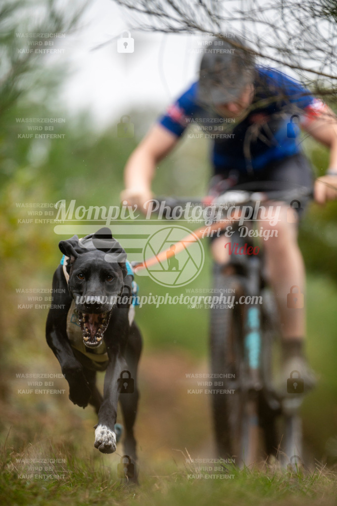 TSB_2023_E5_Bike-19 | PayLife