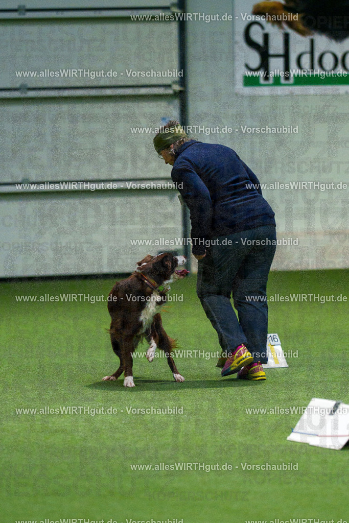 7R505000 | Professionelle Tierfotografie in Mönchengladbach von Daniel Wirth (allesWIRTHgut). Liebevolle & natürliche Bilder von Hunden & Katzen für unvergessliche Erinnerungen.