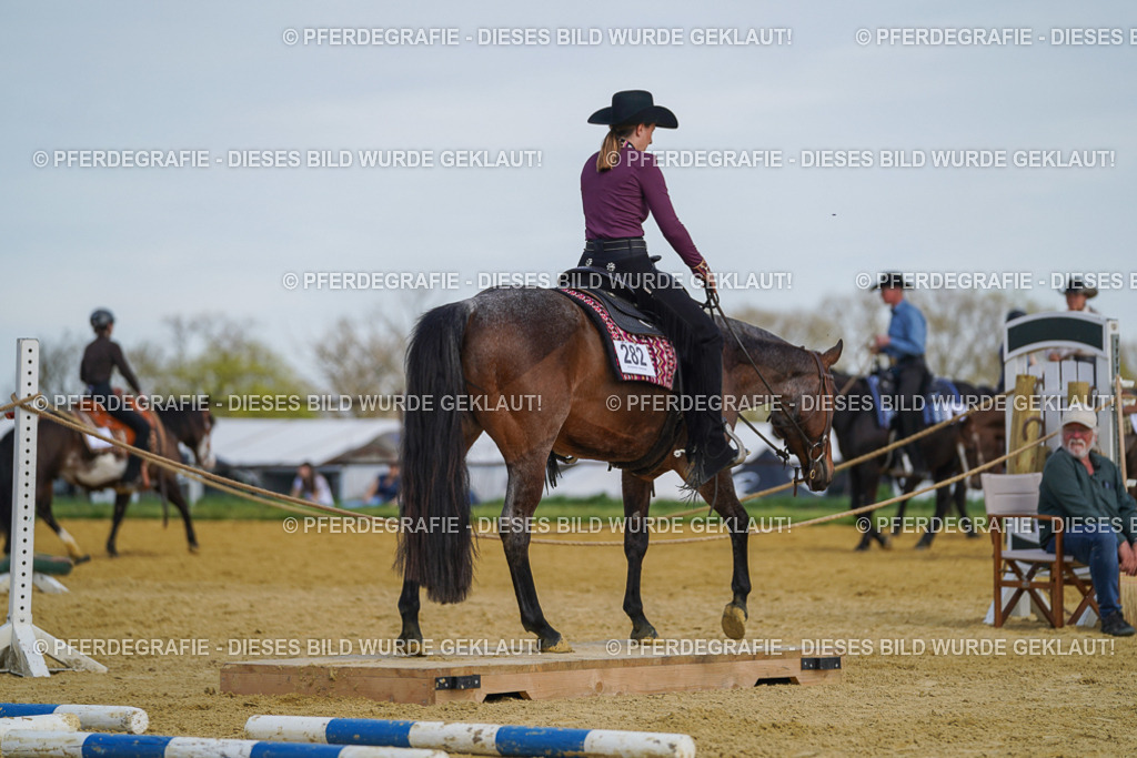 DSC04990 | Pferdegrafie