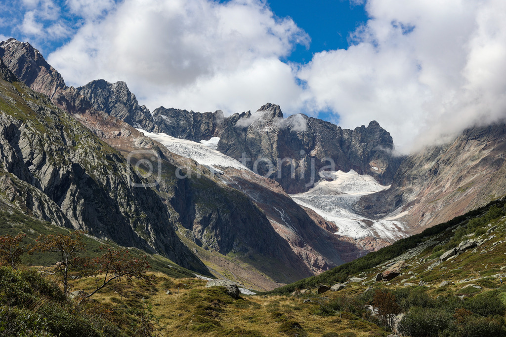 A.Trupina-102 | antonija-trupina - Realisiert mit Pictrs.com