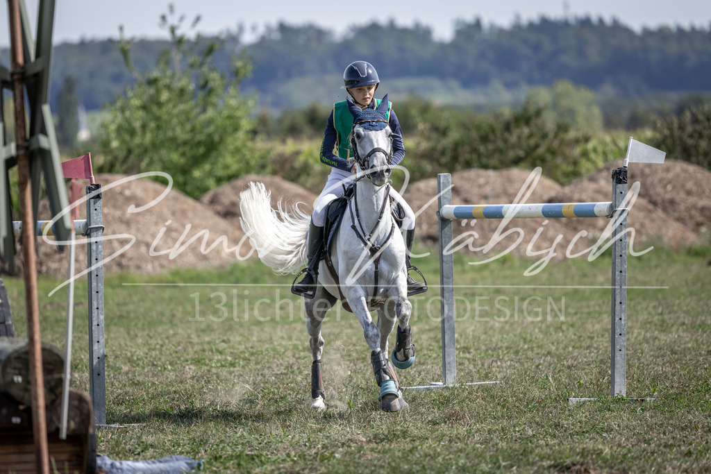 20250907-_3LI1896 | Tierfotografie Pferde, Hunde, Katzen, Haustiere.
Turnierfotografie Reitturniere, Reiten, Springreiten, Dressur in Hanau, dem Main-Kinzig-Kreis und dem Rhein-Main- Gebiet um Frankfurt