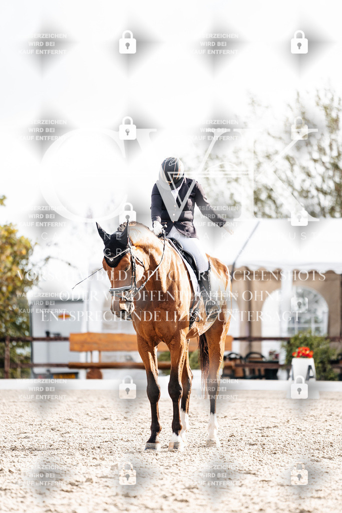 CK900749 | Turnierfotografie Pferdefotografie Trier Rheinland-Pfalz Pferdesport Reitsport Tierfotografie Sportfotografie Pferdevideo Pferdevideografie Equestrianvideography equestrianphotography  - Realisiert mit Pictrs.com