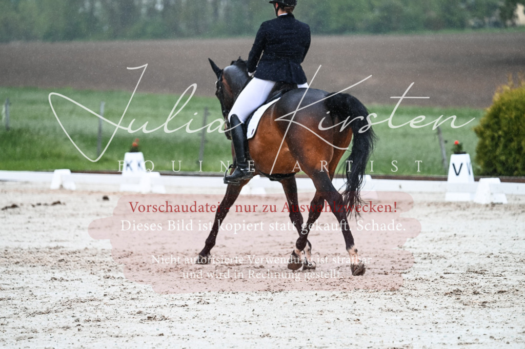 DSC_4533 | Pferde- und Turnierfotografie in Westsachsen. Pferdeportraits, Auftragszeichnungen und intuitive Kunst.