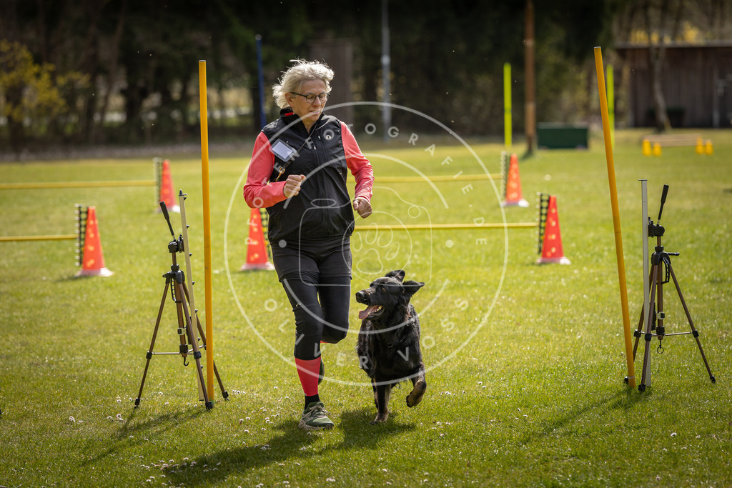 Pfotenfotografie_DV3A9168 | Hundefotografie, Tierfotograf, Pfotenfotografie, Fotoshooting Hund, Hunde Portrait, Hundesport, Hundeportraits, Heideshooting, Hunde, Sportfotograf, Hundefotograf, Turnierhundsport, THS,  - Realisiert mit Pictrs.com