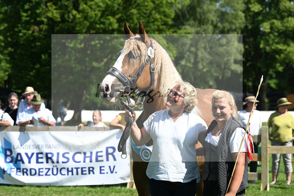 Kat-Nr. 61 Prestige v. Rivero_Schroeder_18251350 | hf-fotografie - Realizzato con Pictrs.com