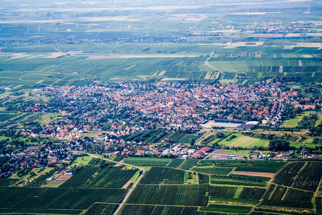 Luftbild: Ortsansicht von Süden in Weisenheim am Sand im Bundesland Rheinland-Pfalz in Deutschland. Foto: IMG_12685.jpg vom 17.08.2008 durch Werner Riehm/FLY-FOTO.de