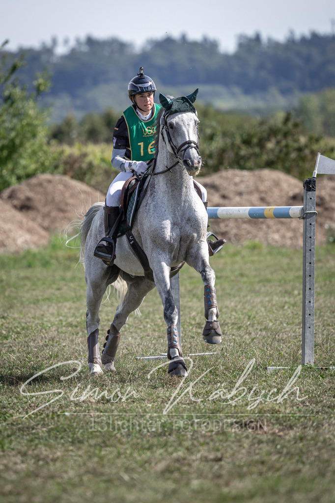 20250907-_3LI1676 | Tierfotografie Pferde, Hunde, Katzen, Haustiere.
Turnierfotografie Reitturniere, Reiten, Springreiten, Dressur in Hanau, dem Main-Kinzig-Kreis und dem Rhein-Main- Gebiet um Frankfurt