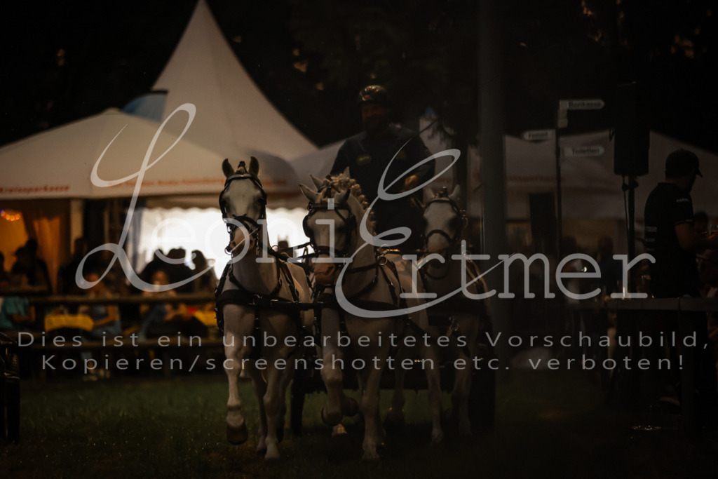 SaShow00302 | Leoni Ertmer Photography - Realisiert mit Pictrs.com