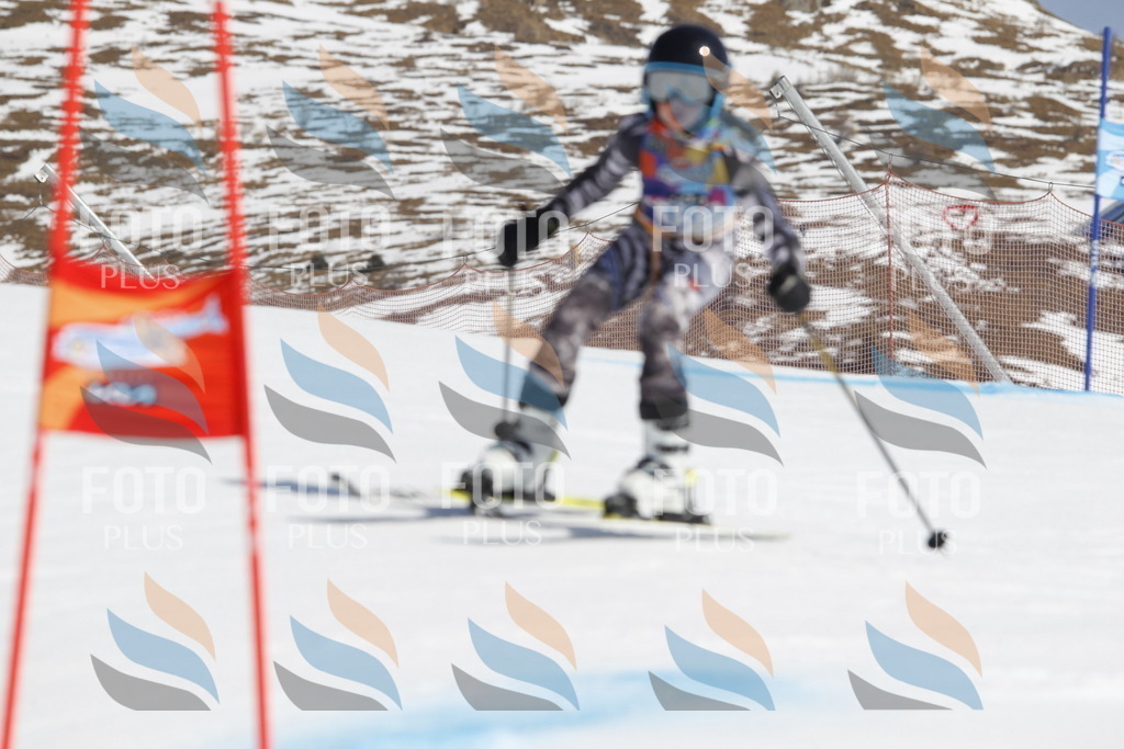 _U3G0819 | holidayphoto