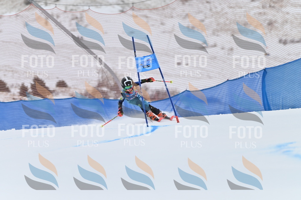 BGV_0205 | holidayphoto