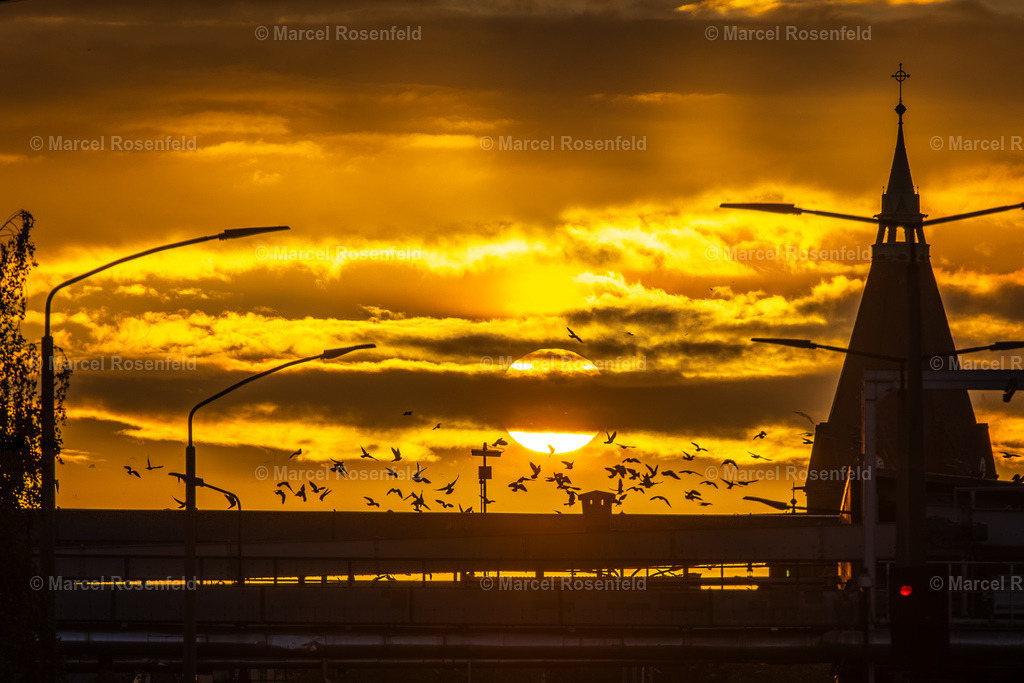 _DSC4009-HDR | foto-rosenfeld