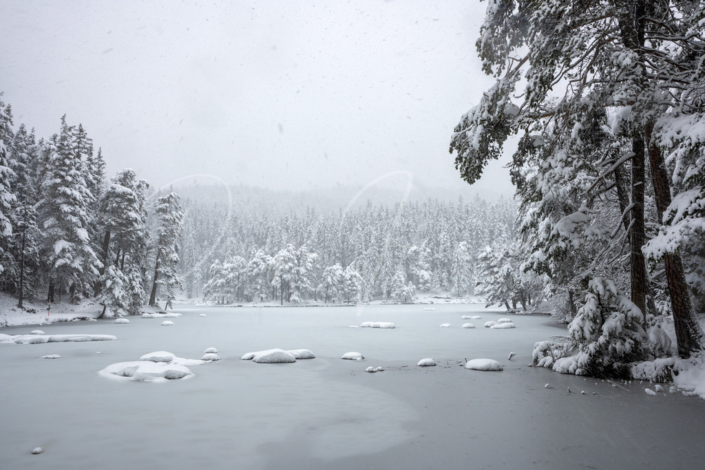 Möserer See | winter wonderland am Möserer See