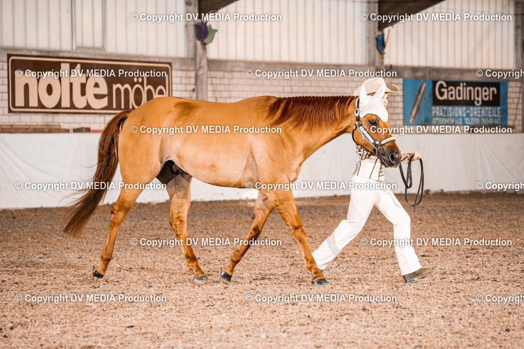 ZH100229 | dv-media-shop - Realisiert mit Pictrs.com