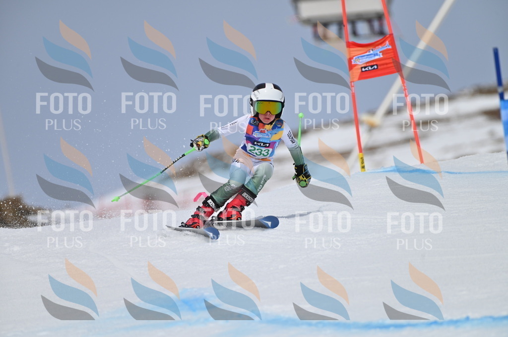 BGV_4618 | holidayphoto