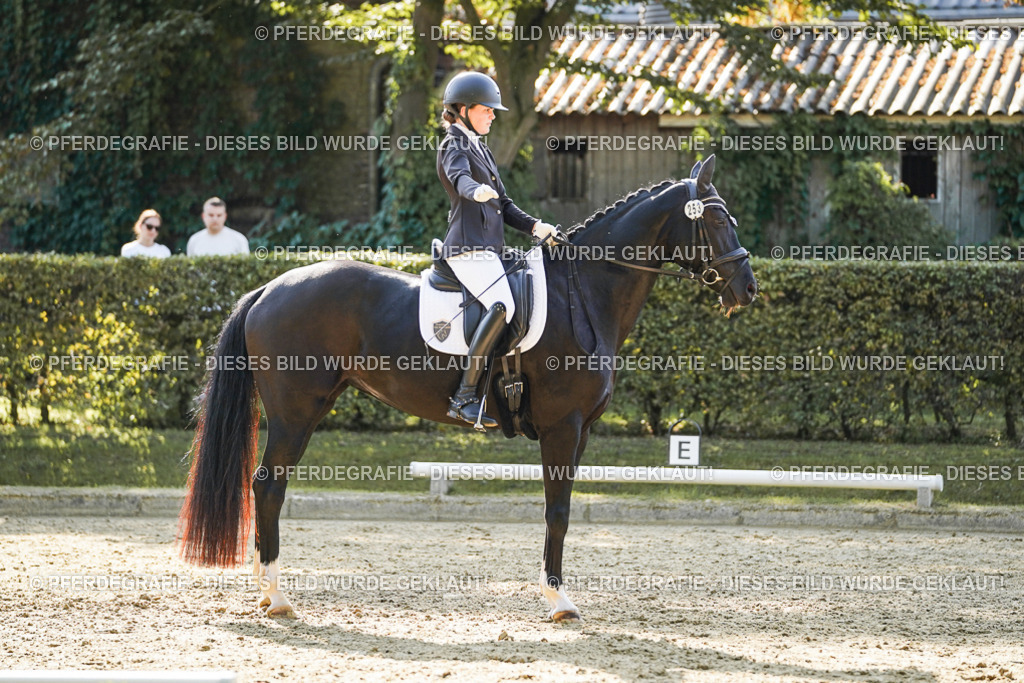 DSC06547 | Pferdegrafie