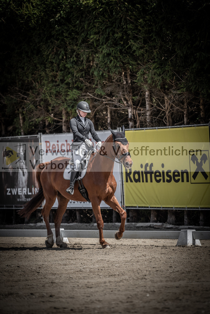 DSC_0735 | equestrian-live-com