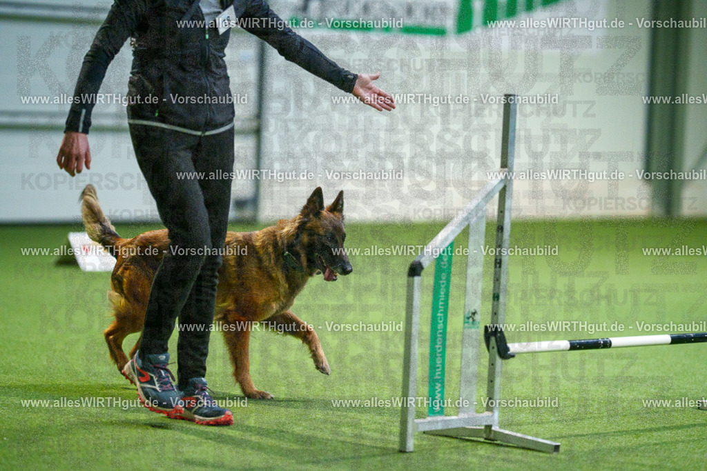 7R505667 | Professionelle Tierfotografie in Mönchengladbach von Daniel Wirth (allesWIRTHgut). Liebevolle & natürliche Bilder von Hunden & Katzen für unvergessliche Erinnerungen.