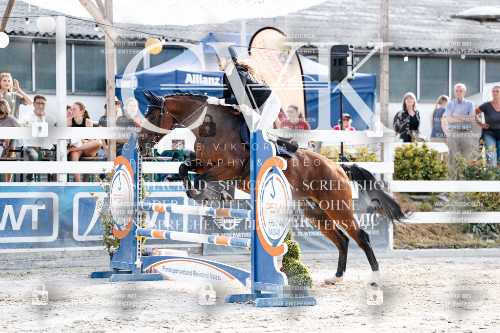 CK906459 | Turnierfotografie Pferdefotografie Trier Rheinland-Pfalz Pferdesport Reitsport Tierfotografie Sportfotografie Pferdevideo Pferdevideografie Equestrianvideography equestrianphotography  - Realisiert mit Pictrs.com
