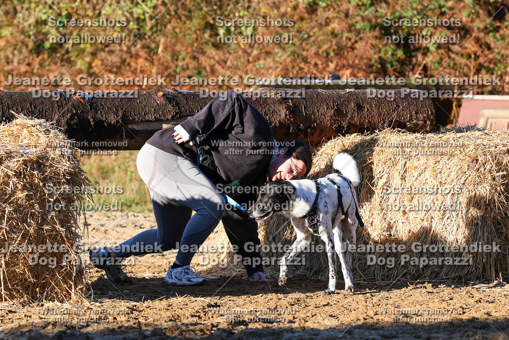 Dog Paparazzi - Strongdog 10-25-973 | Dog Paparazzi Jeanette Grottendiek Fotografie & Videografie - Realisiert mit Pictrs.com