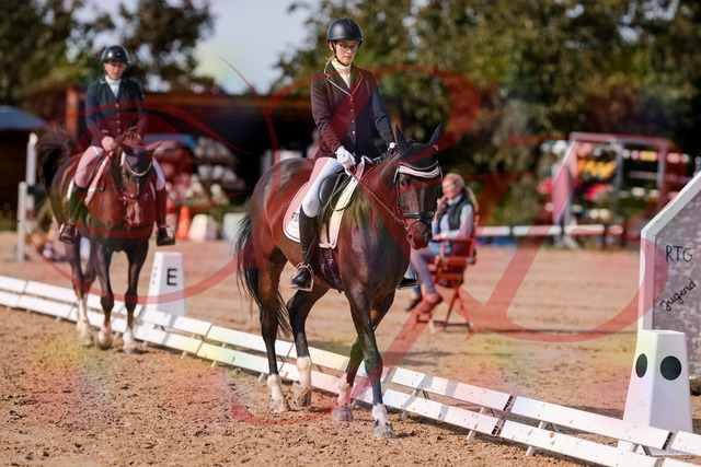 2026_10_03_Siefer-Hof_132306_Z81_73199460 | Professionelle Reitsport-, Turnier- und Eventfotografie von Robert Broda. Galerien mit ausgewählten und bearbeiteten Bildern direkt online ansehen und bestellen.