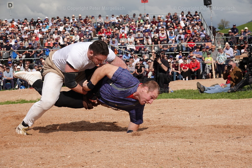 DSC01061 | Schwingen - Realisiert mit Pictrs.com