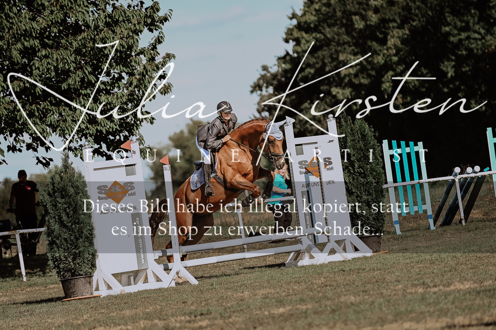 DSC_9273 | Pferde- und Turnierfotografie in Westsachsen. Pferdeportraits, Auftragszeichnungen und intuitive Kunst.