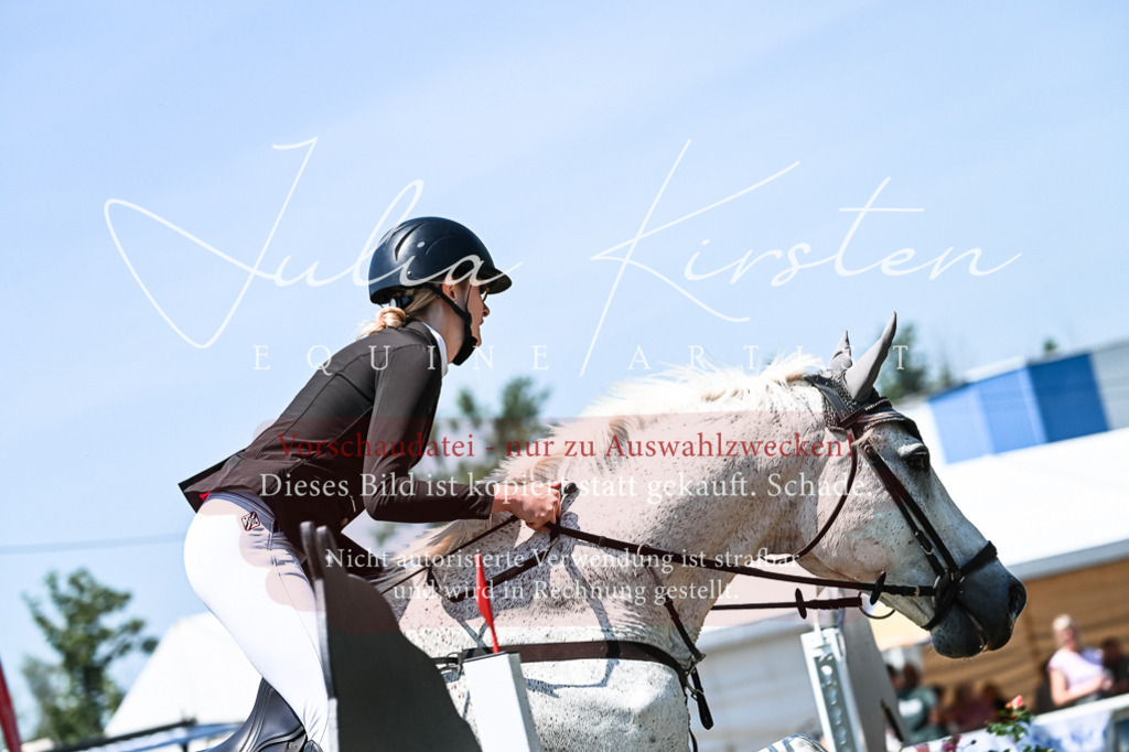 DSC_0259 | Pferde- und Turnierfotografie in Westsachsen. Pferdeportraits, Auftragszeichnungen und intuitive Kunst.