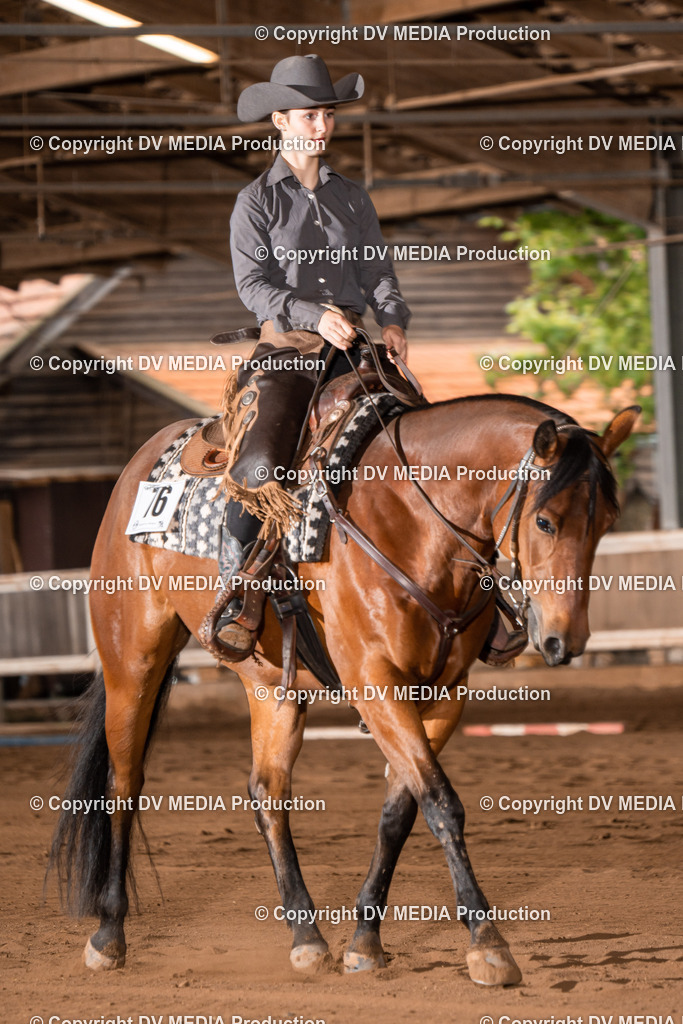 Erbach Tag 2-345 | dv-media-shop - Realisiert mit Pictrs.com