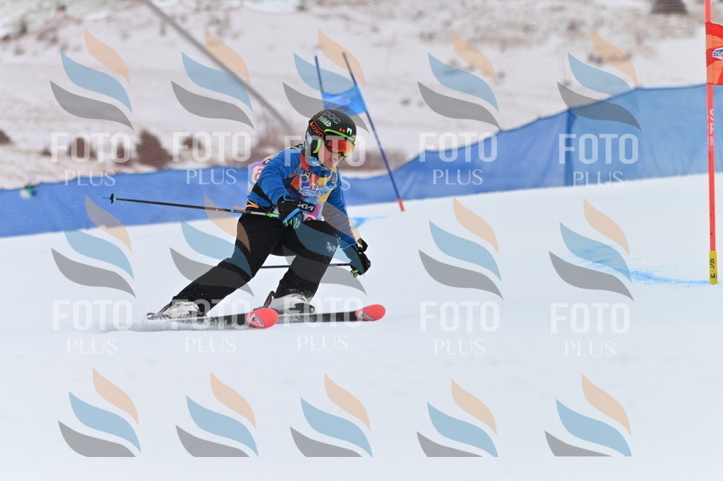 BGV_2172 | holidayphoto