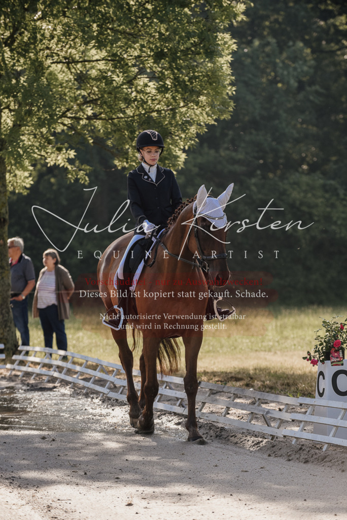 DSC_7670 | Pferde- und Turnierfotografie in Westsachsen. Pferdeportraits, Auftragszeichnungen und intuitive Kunst.