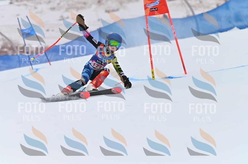 BGV_0945 | holidayphoto