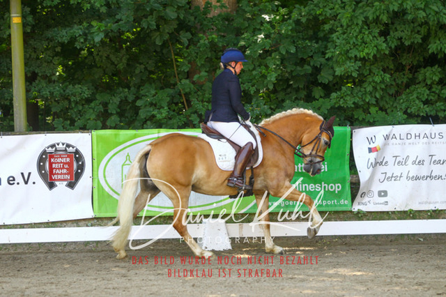 DKP42295 | Turniersportfotografie; Pferdefotografie; Dressurfotografie