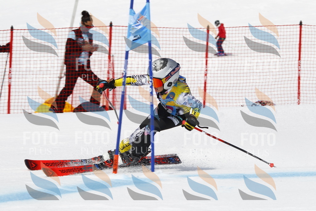 _U3G5146 | holidayphoto