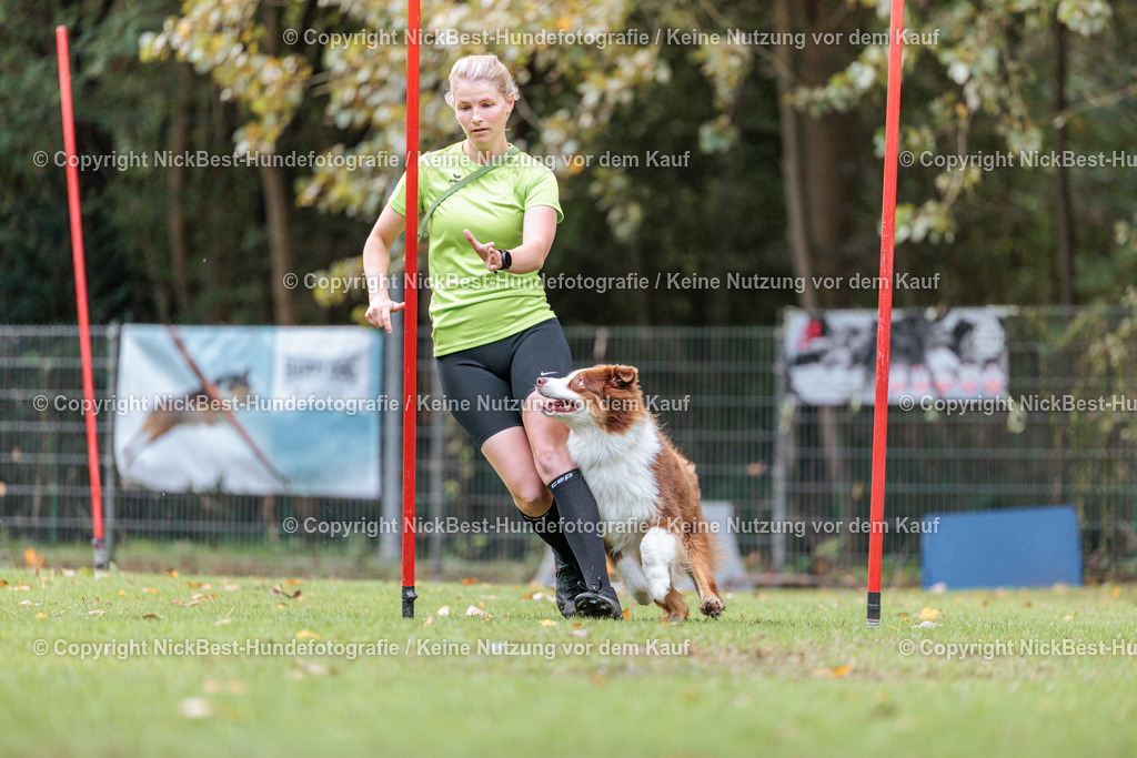 THS-HSV-Blumenthal-2026-Nickbest-Hundefotografie-1950 | Dein Hund! Dein Moment! Deine Erinnerungen! Hundefotografie in Bremen Blumenthal. Ich fange die besonderen Momente deines Vierbeiners ein – ob Indoor mit Blitzanlage oder in der freien Natur. Sicher dir dein Moment und dein Termin für eure Erinnerungen.